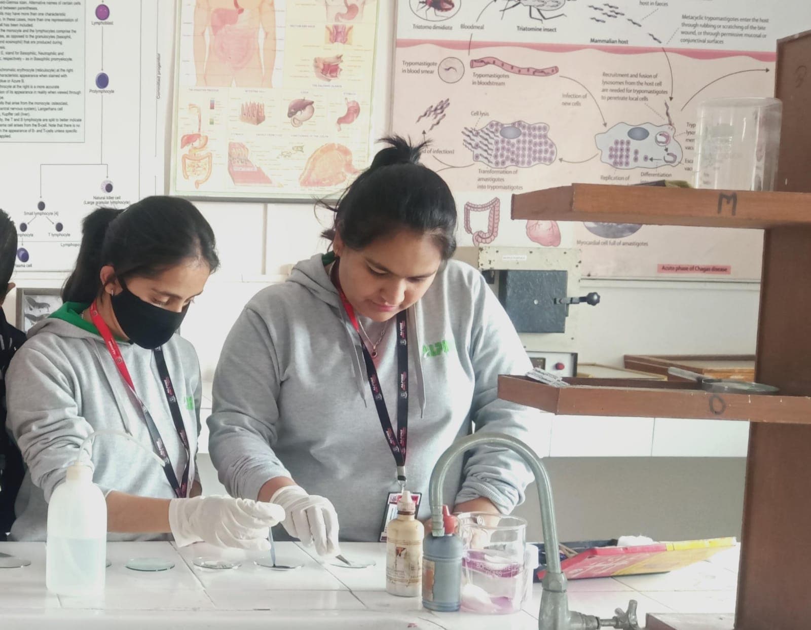 Alpine Group of Institutions Dehradun Facilities & Labs photo 2